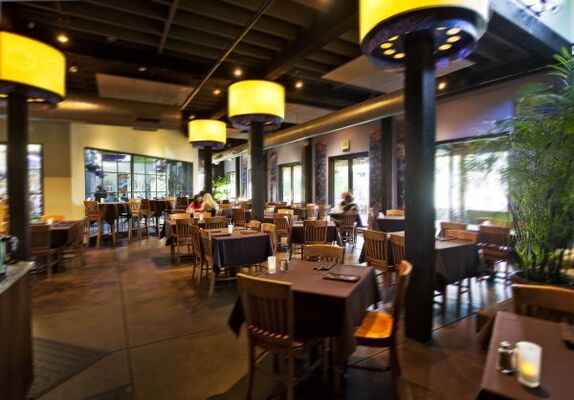 Oasis Cafe