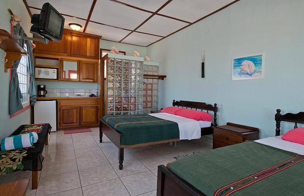 Conch Shell Inn