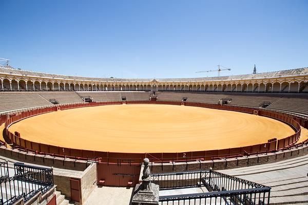 Real Maestranza de Caballeria de Sevilla