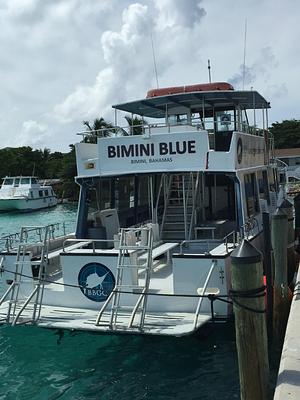 Bimini Big Game Club Resort & Marina