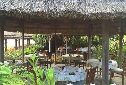 Young Island Resort Restaurant