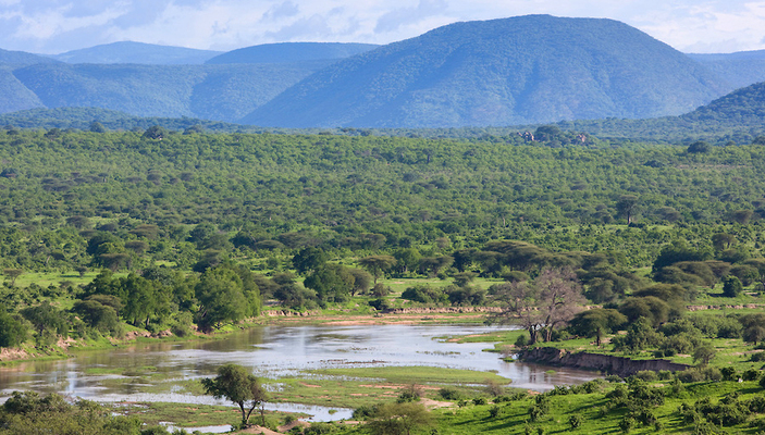 Jozani Chwaka Bay National Park