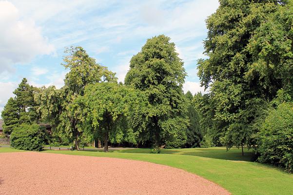 Holmwood House National Trust for Scotland