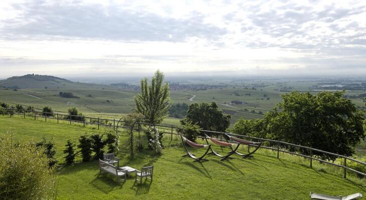 Le Clos Saint Vincent