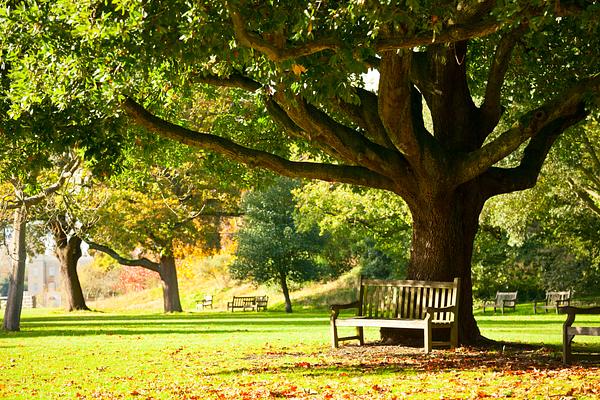 Royal Botanic Gardens, Kew