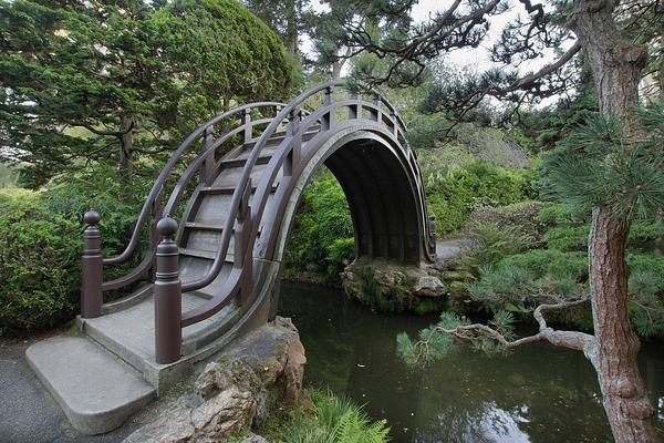 Golden Gate Park