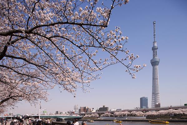 Tokyo Skytree