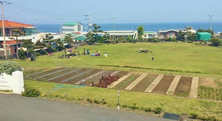 Bluebay Pension