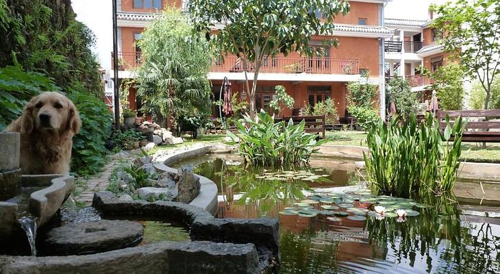 SleepyFish Lodge