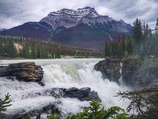 Athabasca Falls