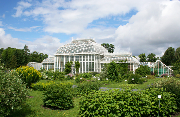 Kaisaniemi Botanic Garden