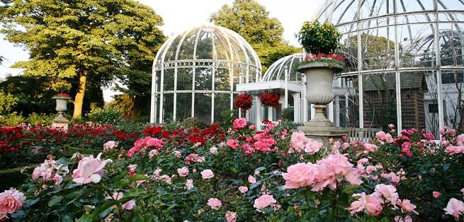 Birmingham Botanical Gardens and Glasshouses