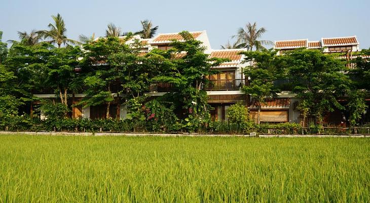 Hoi An Chic Green Retreat