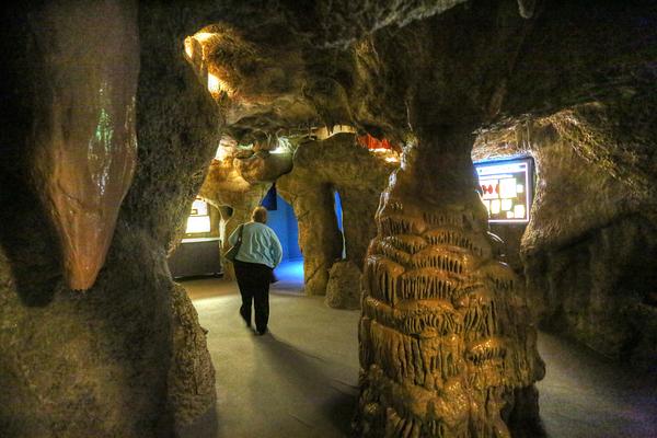 New Mexico Museum of Natural History and Science