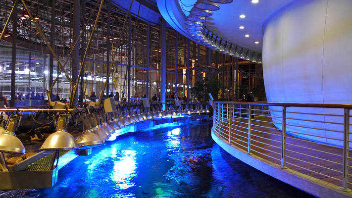California Academy of Sciences