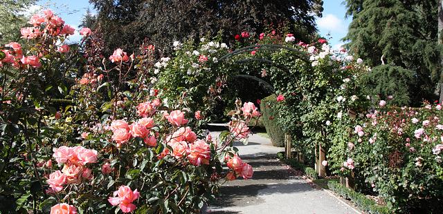 Christchurch Botanic Gardens