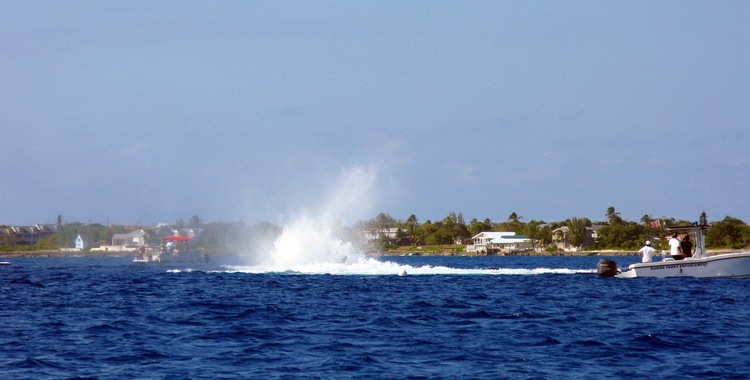 Kittiwake Shipwreck & Artificial Reef