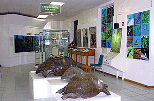 Seychelles Natural History Museum