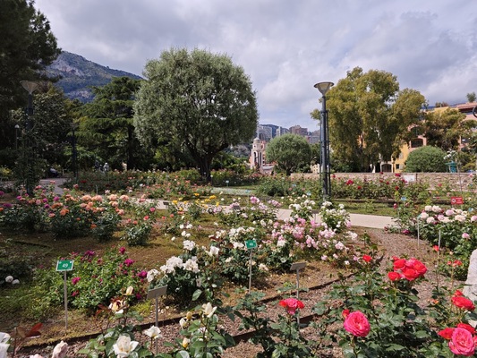 Princess Grace Botanical Garden