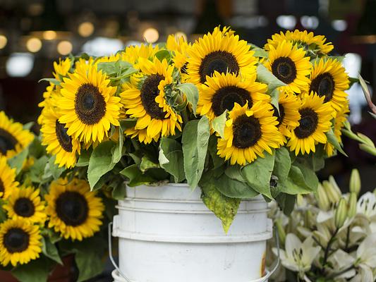 Pike Place Market