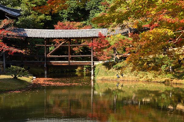 Kodai-ji Temple