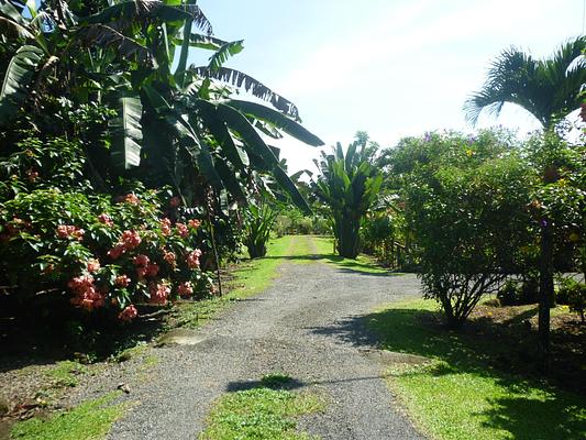 Hotel Roca Negra del Arenal