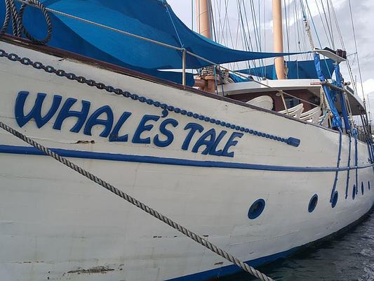 Whale???s Tale