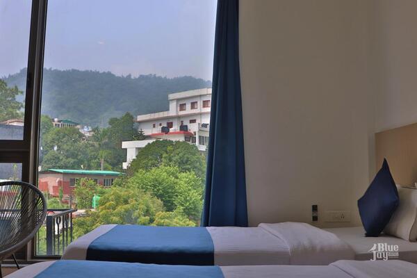 Blue Jay Hostel Rishikesh