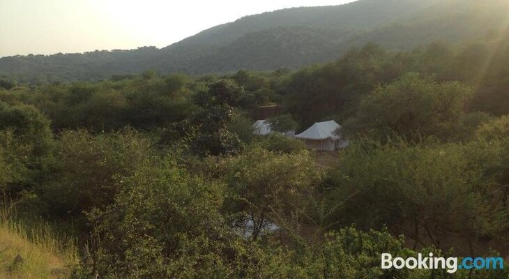 Dera Amer Tented Camp
