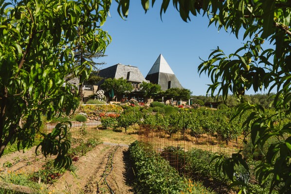 Francis Ford Coppola Winery