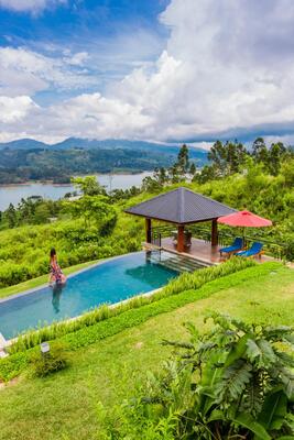 Camellia Hills