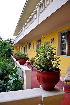 Casa de Avila - Hotel & Jardin