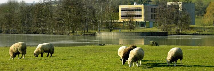 Youth Hostel