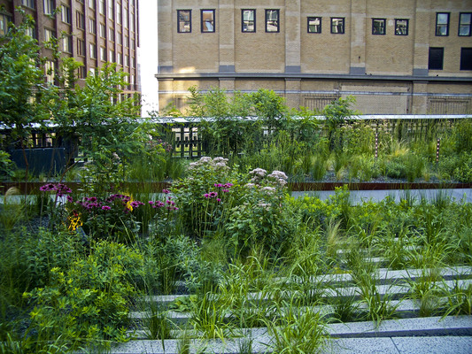The High Line