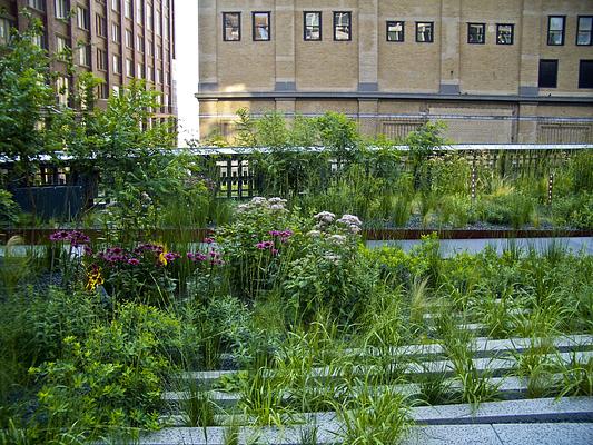 The High Line – Park Review