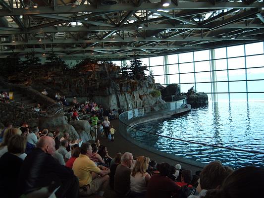 Shedd Aquarium