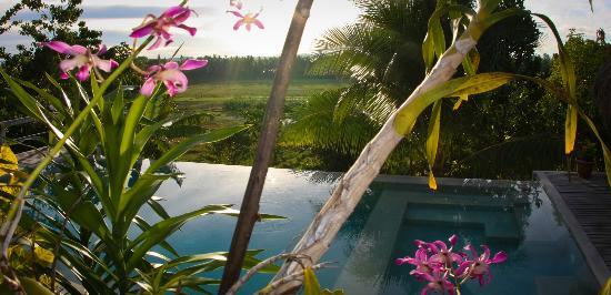 Maya Villa Siargao