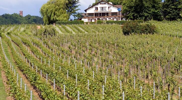 Le Clos Saint Vincent