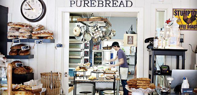 Purebread
