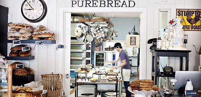 Purebread