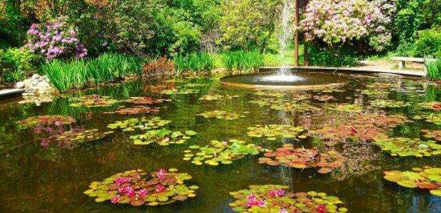 Heritage Museums & Gardens