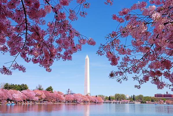 Washington Monument