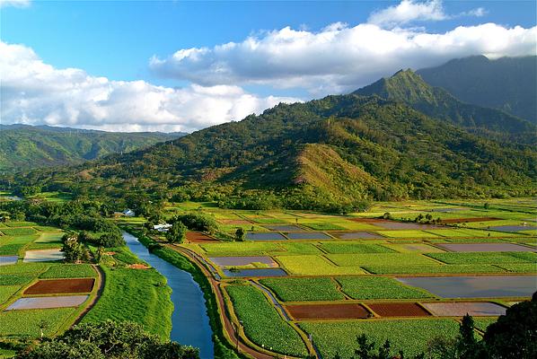 Hanalei Valley Lookout