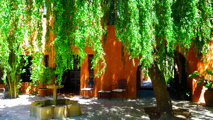 Finca Adalgisa Wine Hotel, Vineyard & Winery
