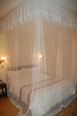 New Safari Hotel