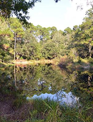 Audubon Newhall Preserve