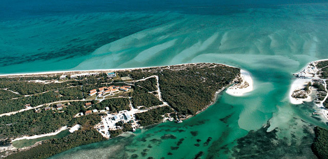 Como Parrot Cay