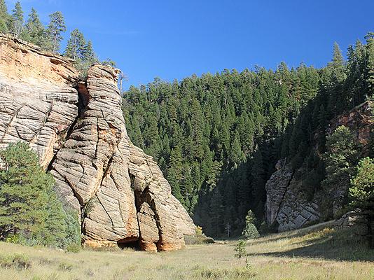 Walnut Canyon Drive