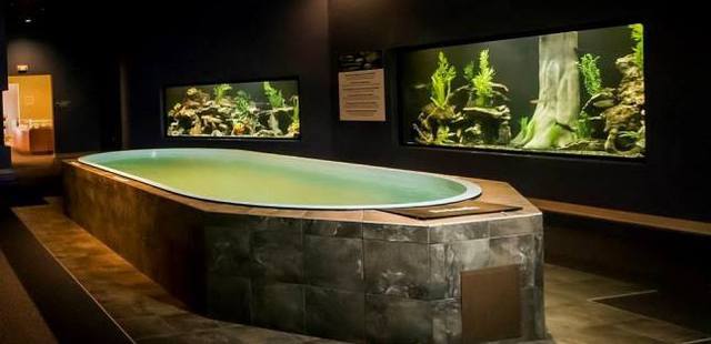 Butterfly Wonderland