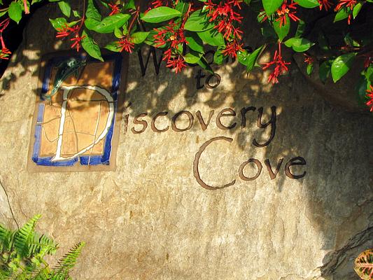 Discovery Cove